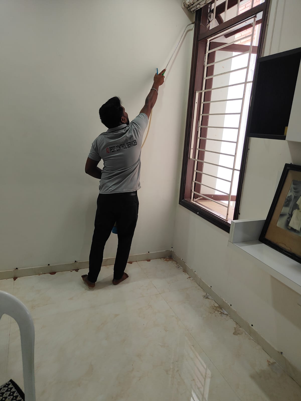 AD Pest Control Treatment 2